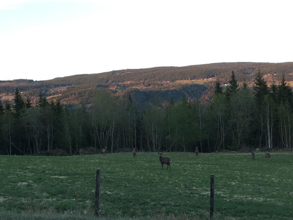 Villa Kvitfjell Ranch Extérieur photo