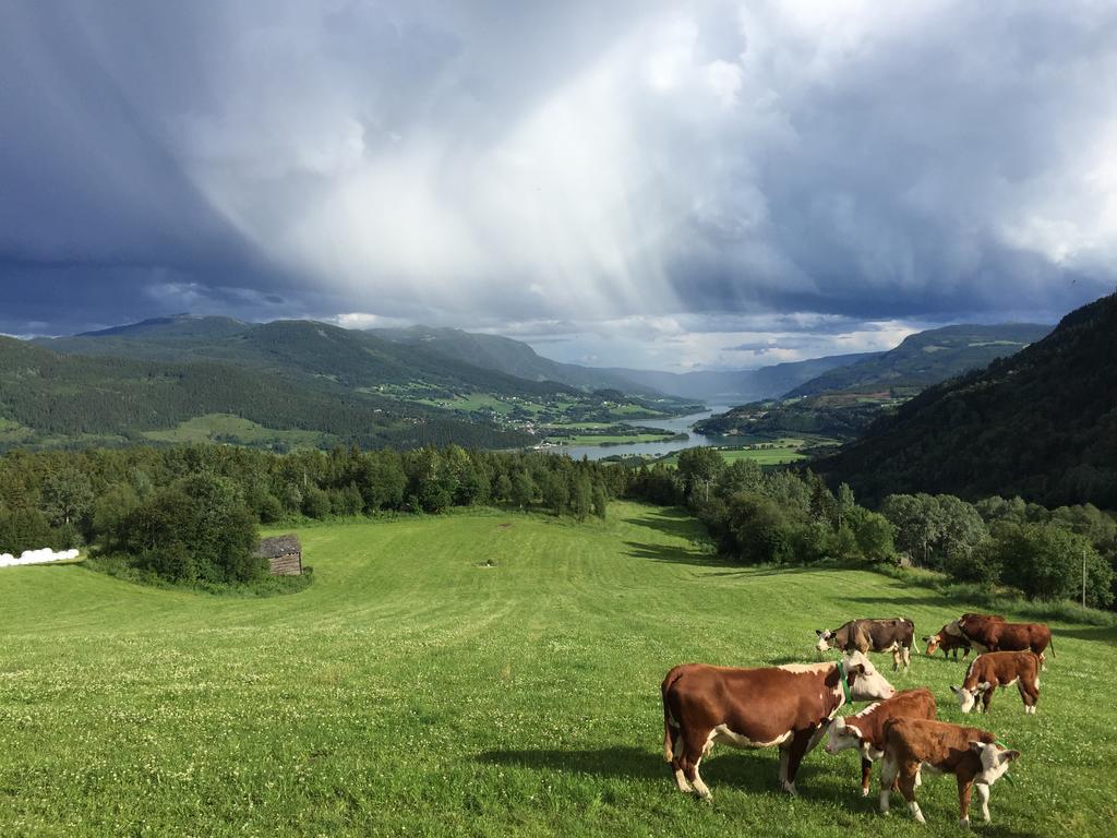 Villa Kvitfjell Ranch Extérieur photo