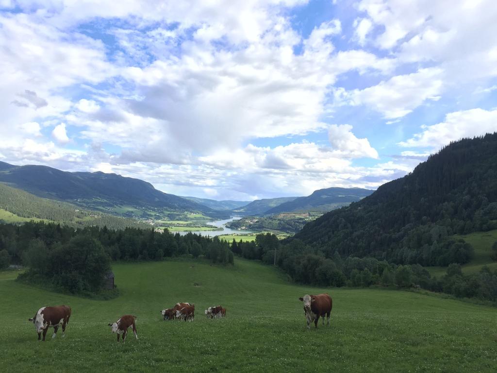 Villa Kvitfjell Ranch Extérieur photo